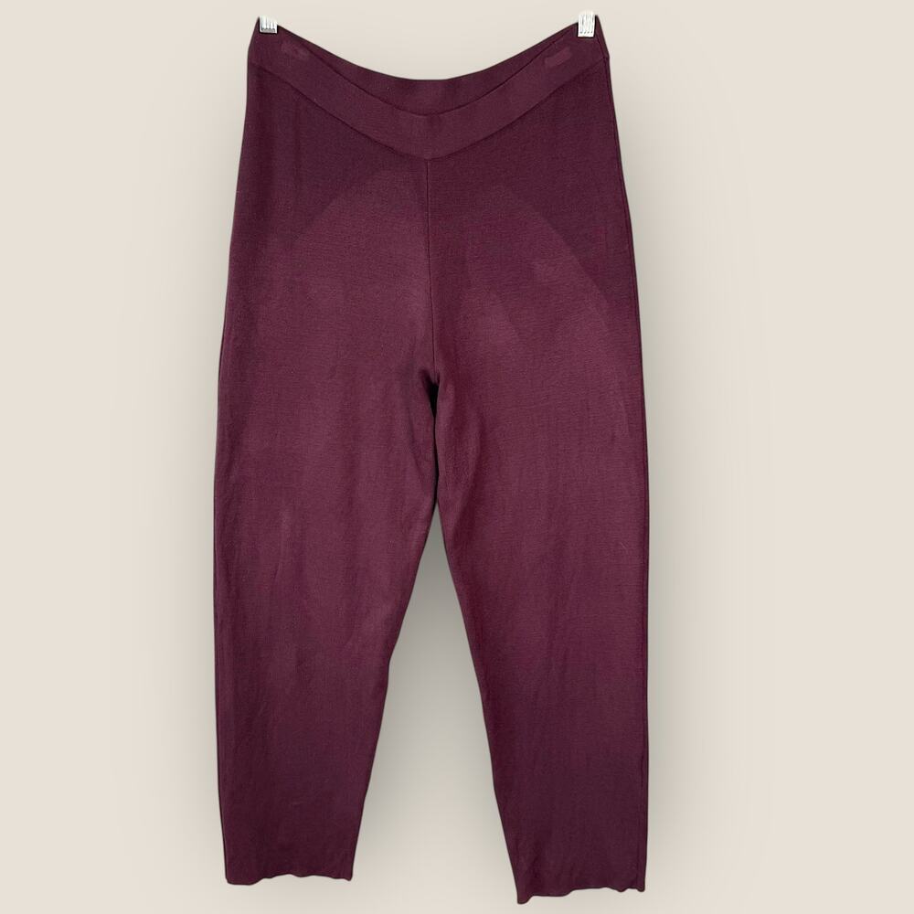 Whisper Knit By Louis Dell'Olio Ponte Knit Pants Pullon Stretch Womens MP Maroon